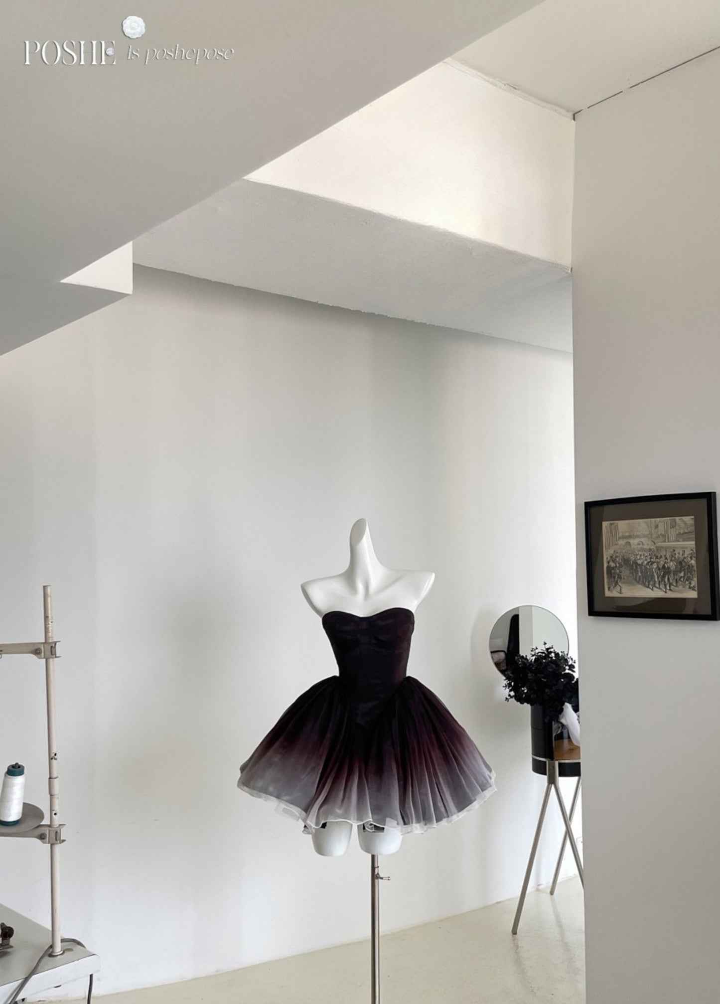 Fashion editorial Black Swan dress with gradient detailing.