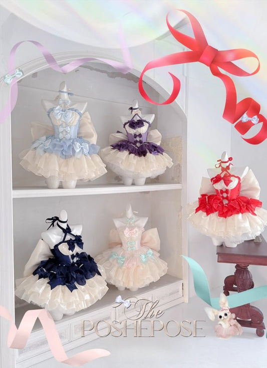 Dreamer’s Wish Dress - PoshePose Global