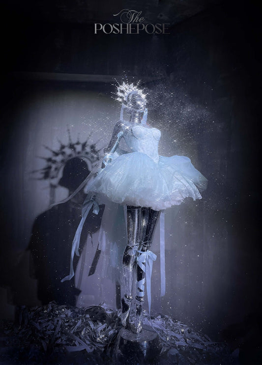 Ballet Swan Grace Gown - PoshePose Global