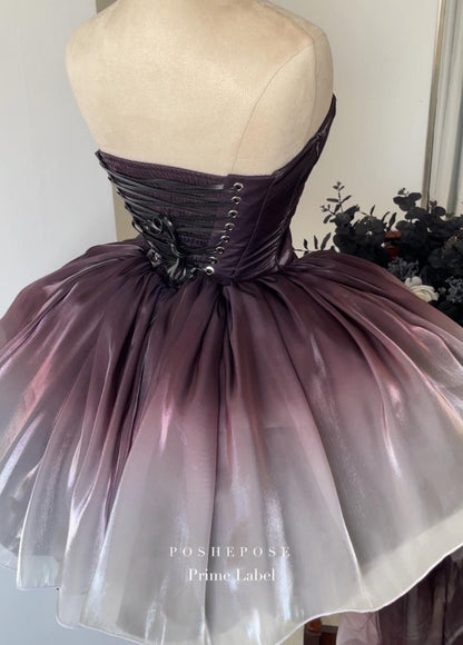 Black Swan Dress - PoshePose Global