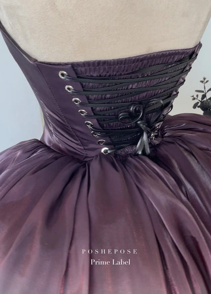 Black Swan Dress - PoshePose Global