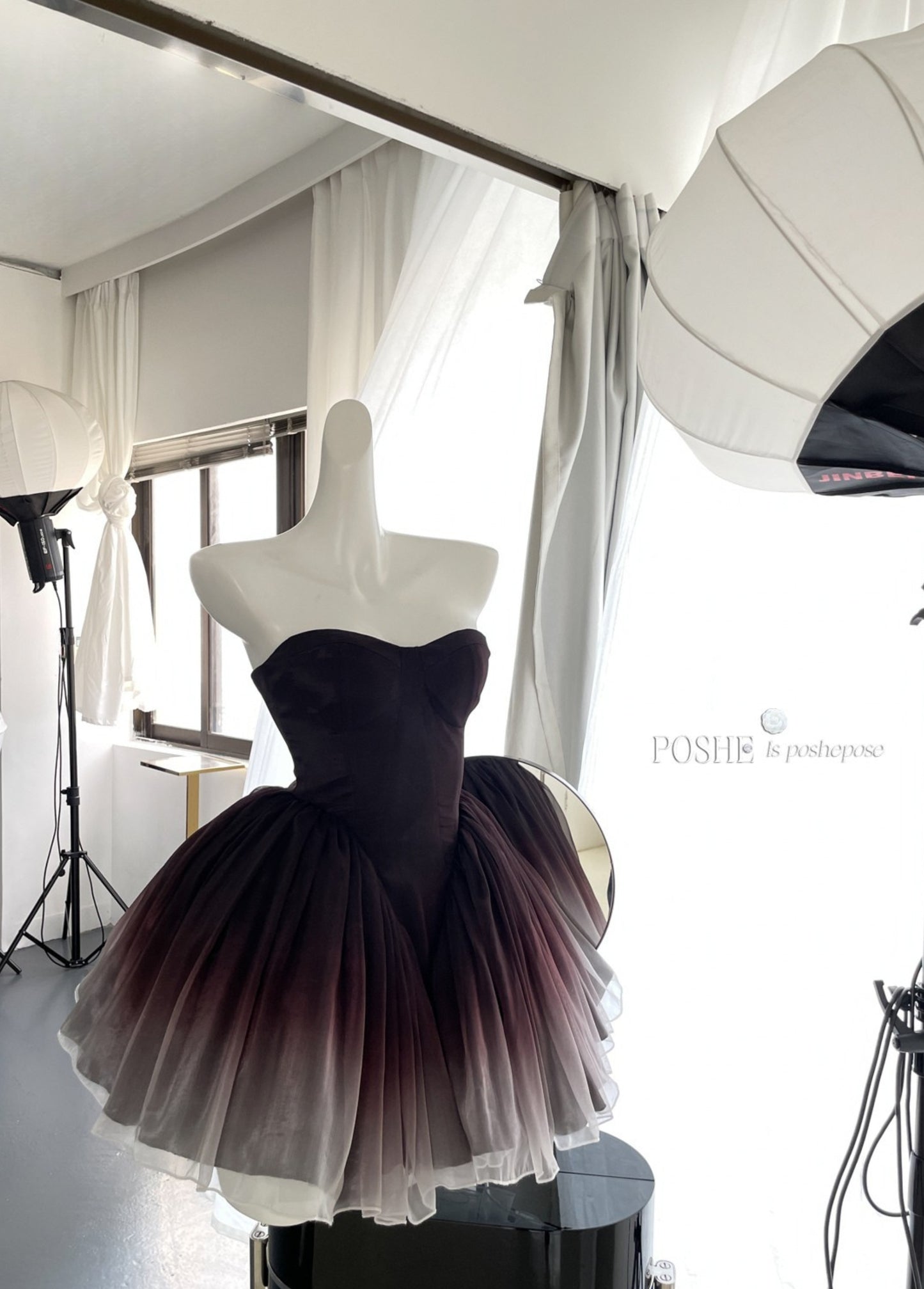 Dreamy Black Swan dress suitable for events, photoshoots, and performances.