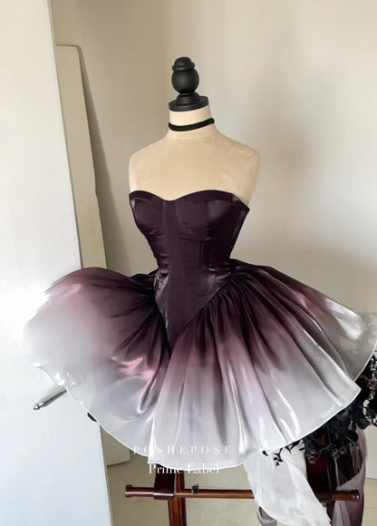 Black Swan Dress - PoshePose Global