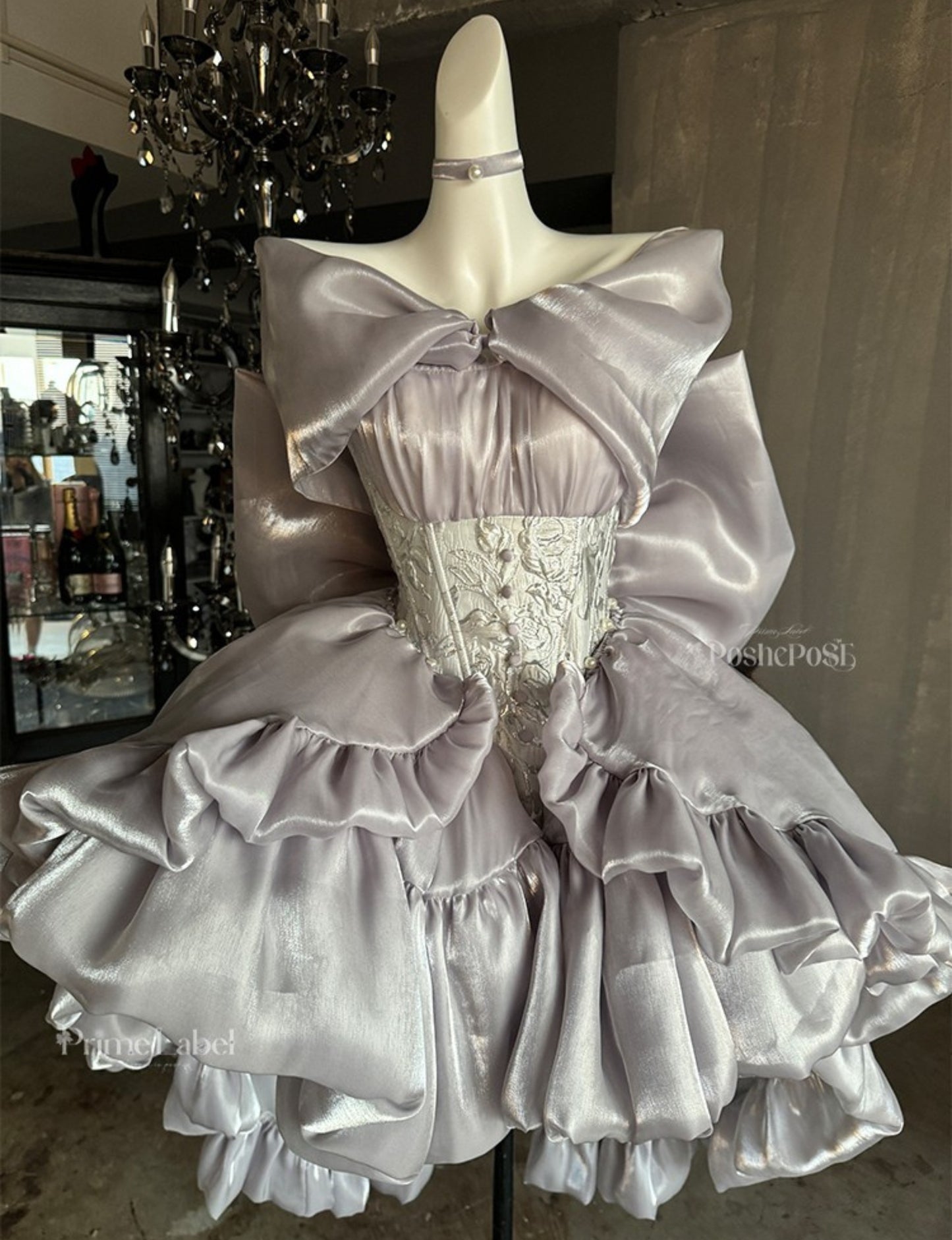 Moonlit silver dress with ornate embroidered corset