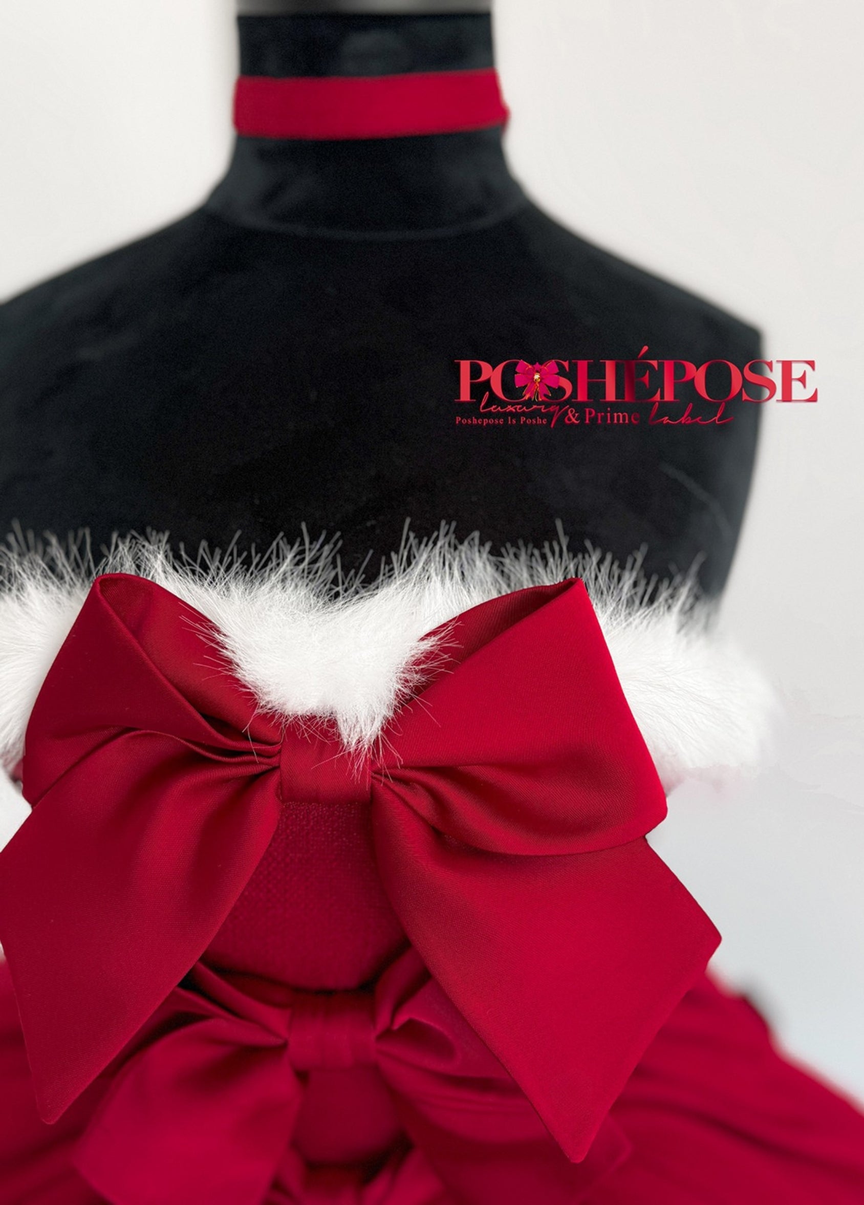 Noel’s Dream Dress Set - PoshePose Global