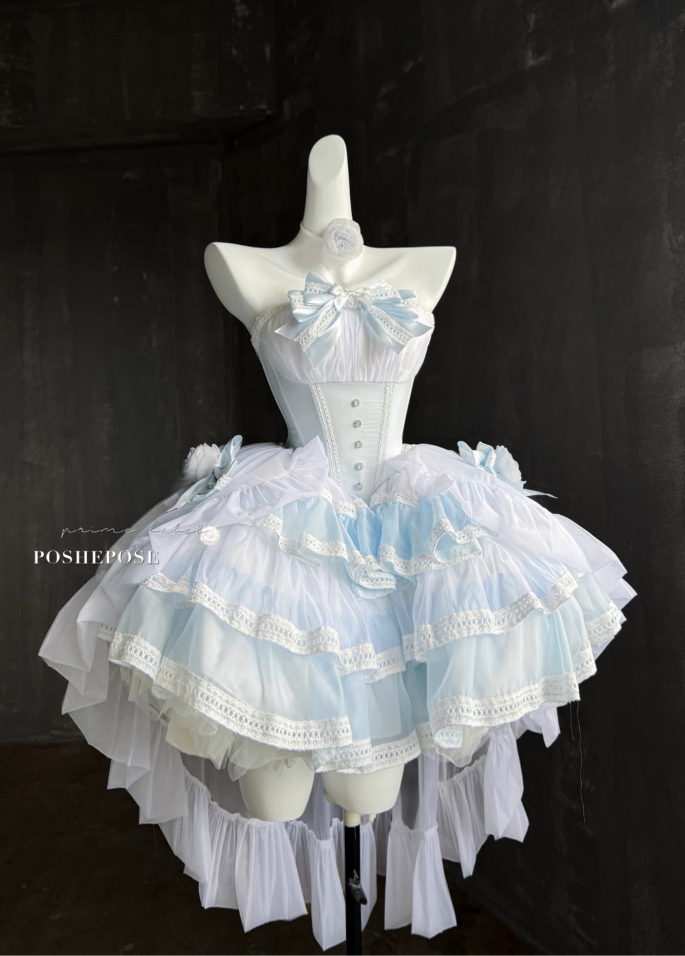 As Your Heart the Dream Ballet Dress - PoshePose Global