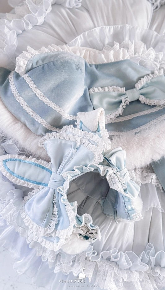 Winter Swan Lake Elegance Dress - PoshePose Global