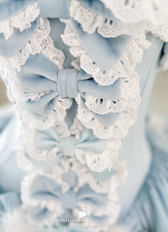 Winter Swan Lake Elegance Dress - PoshePose Global