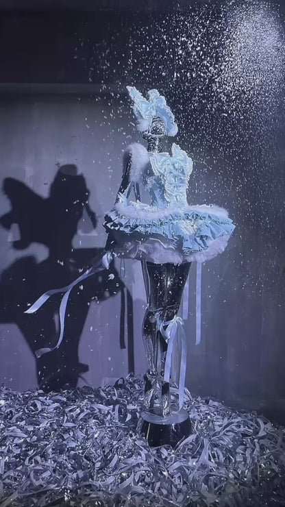 Winter Swan Lake Elegance Dress